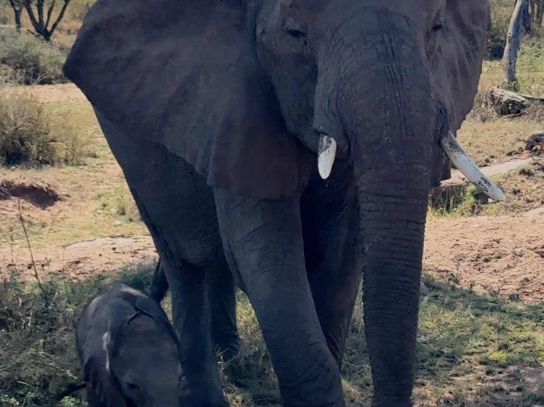 Kway tours and Safari's-桑给巴尔岛必去景点