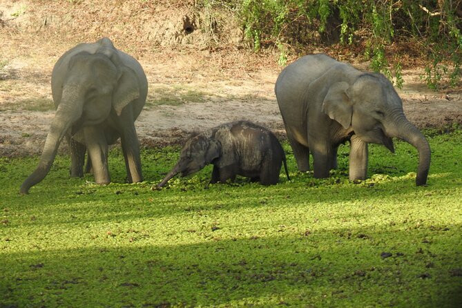 Kumudu Lanka Leisure-Raddolugama必去景点