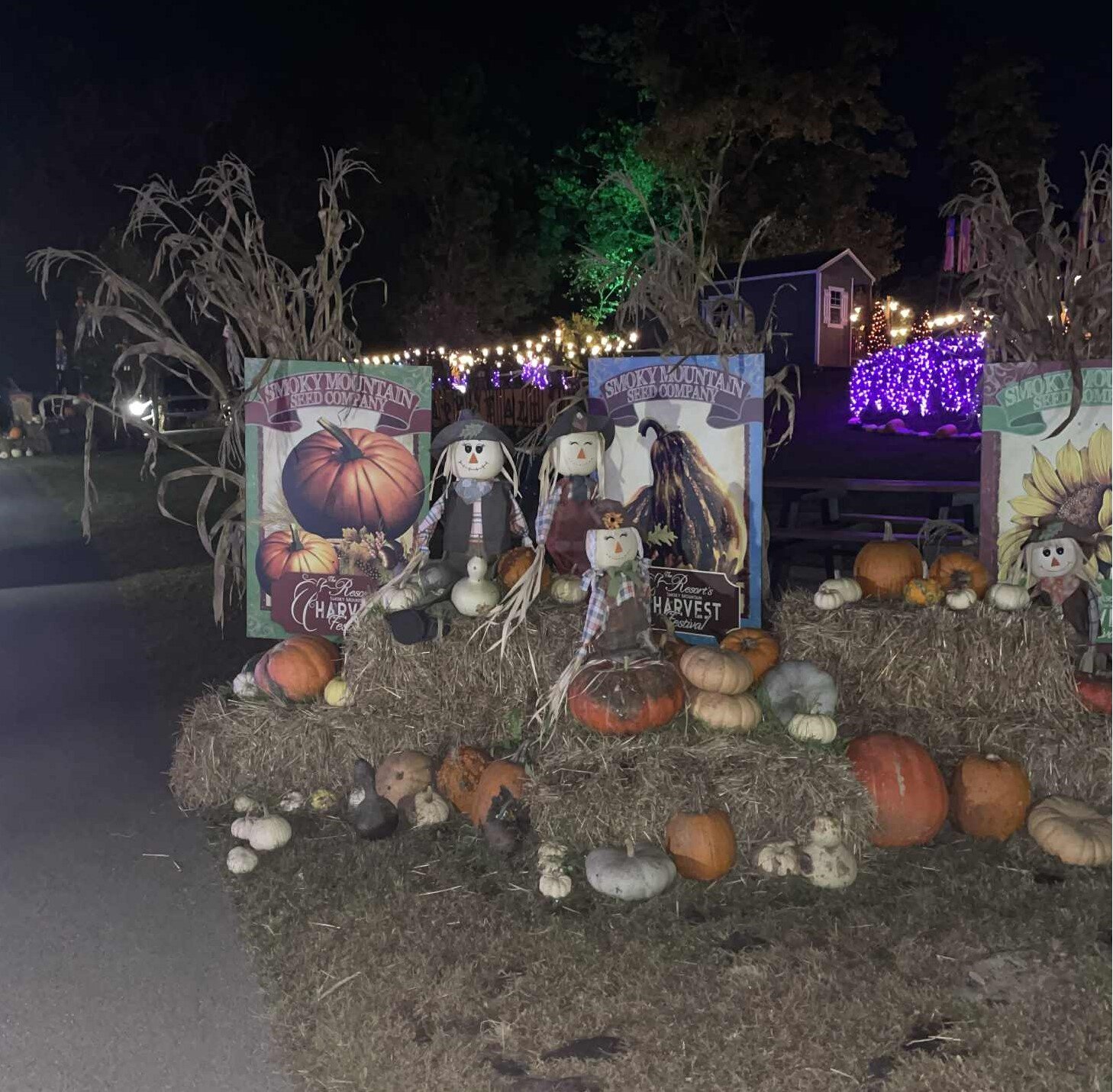 Resort at Governor's Crossing-官方