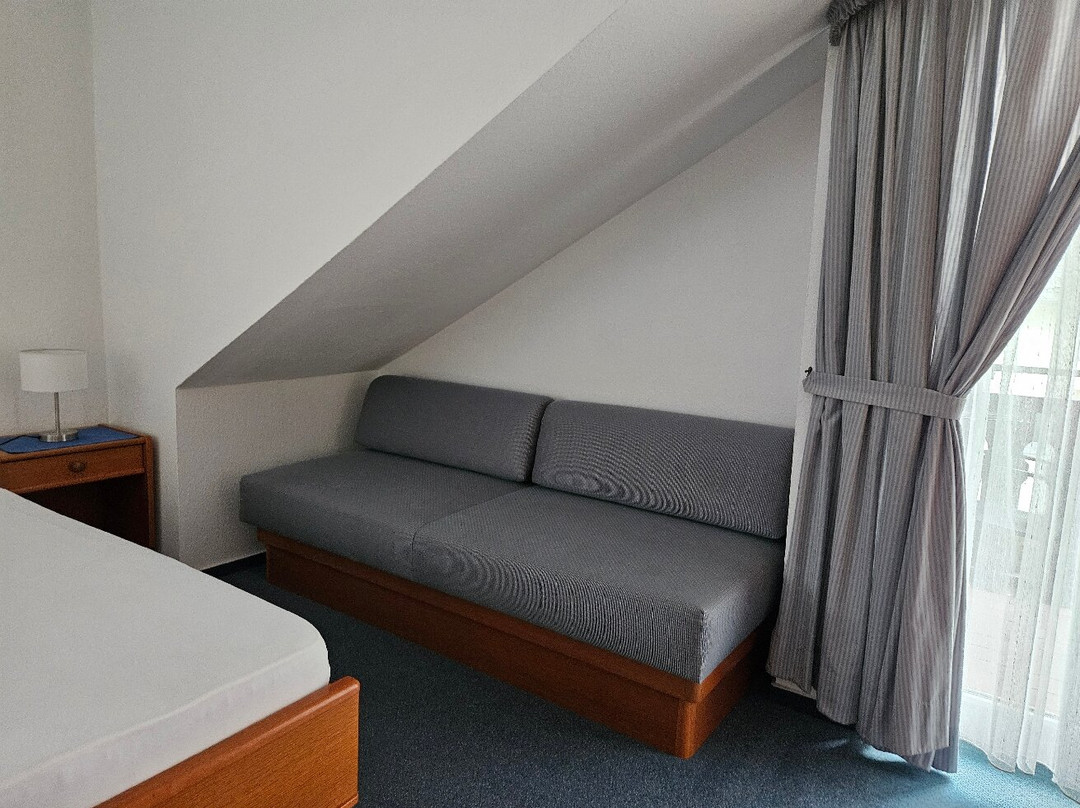 Hotel Muenster主图