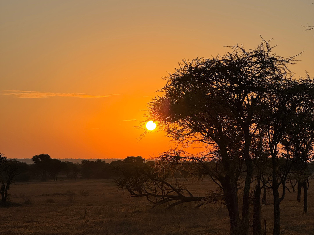 OSOTUA TENTED CAMPS-Ikoma必去景点
