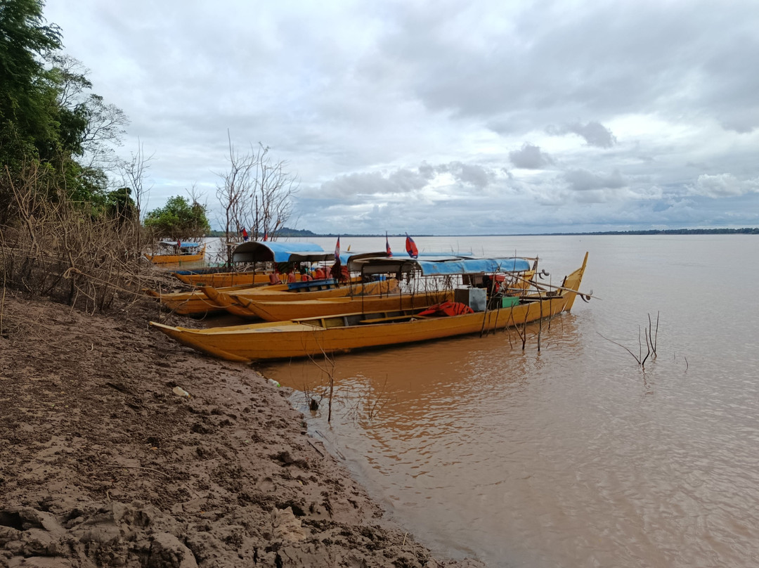 Dolphins Watching Tour And Sightseeing-Kratie必去景点