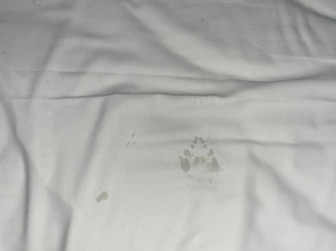 兰蒂克城堡酒店主图