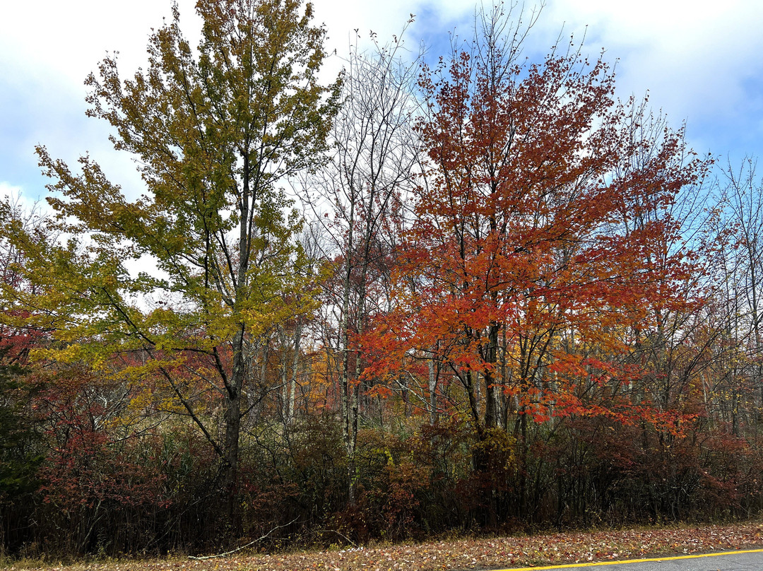 Harriman State Park-Bear Mountain必去景点