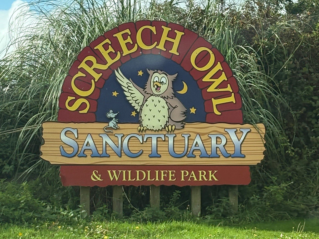 Screech Owl Sanctuary & Animal Park-St Columb Major必去景点
