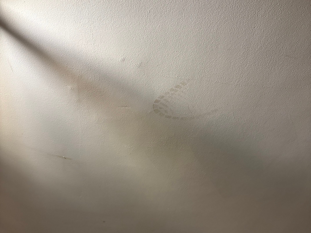 Catskill Seasons Inn主图