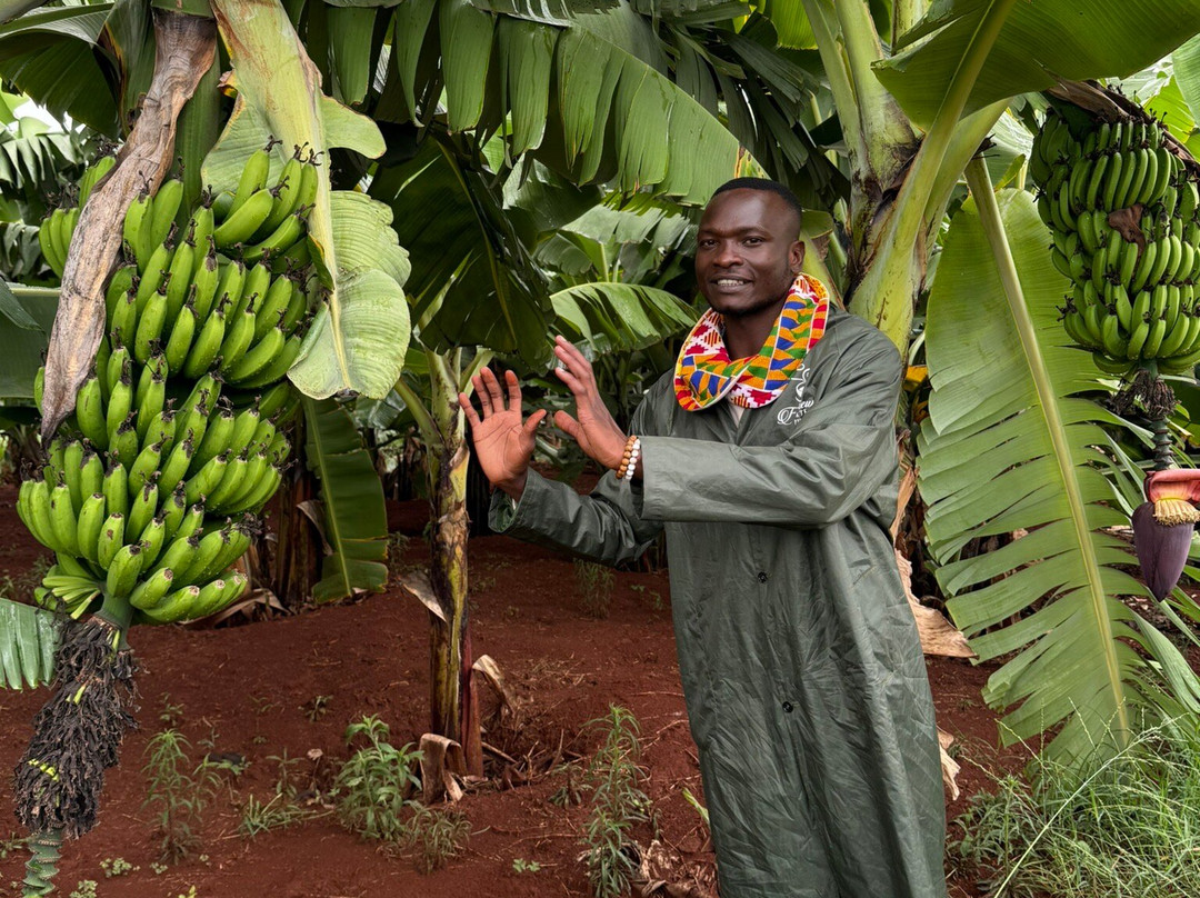Fairview Coffee Estate-内罗毕必去景点