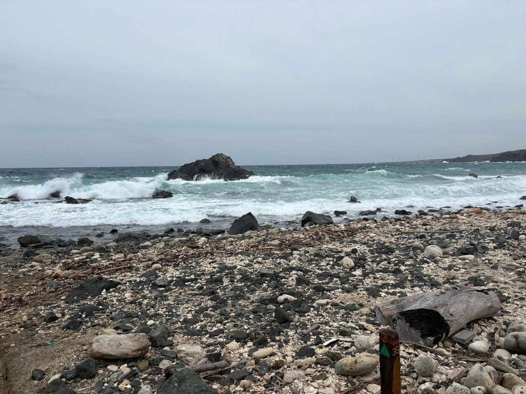 Red Sail Sports Aruba-奥腊涅斯塔德必去景点