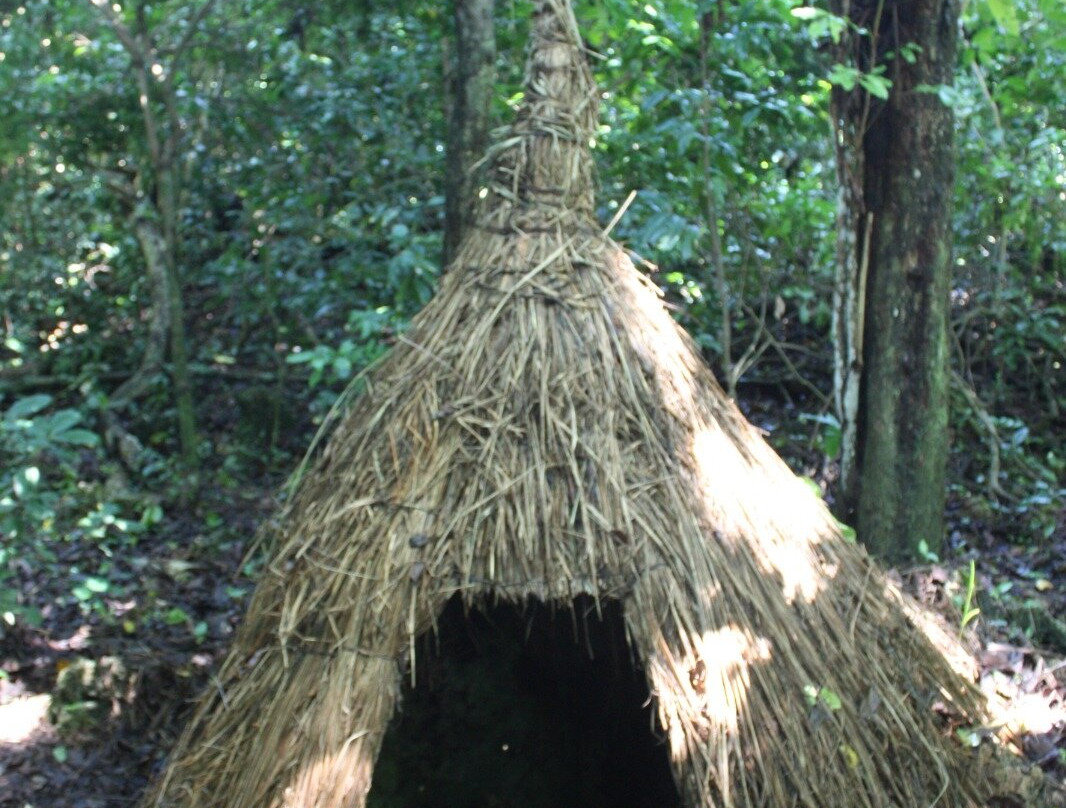 Kaya Kinondo Sacred Forest-迪亚尼必去景点
