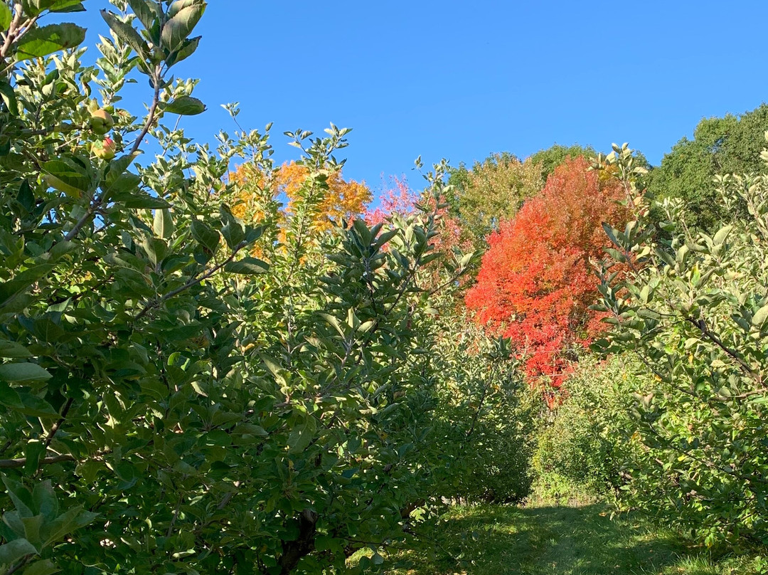 Poverty Lane Orchards & Farnum Hill Cider-莱巴嫩必去景点