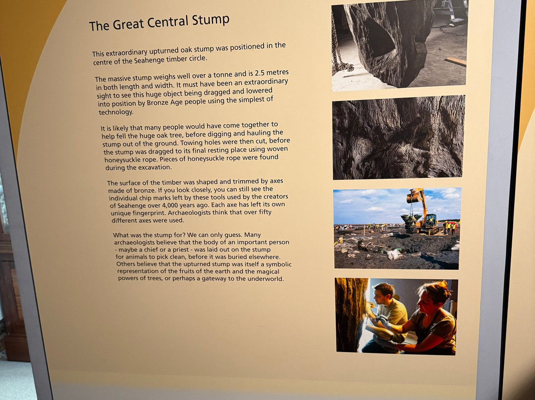 Lynn Museum-金斯林必去景点