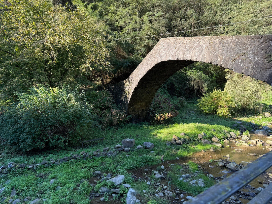 Extra Virgin Cooking Classes-蒙特卡蒂尼－泰尔梅必去景点