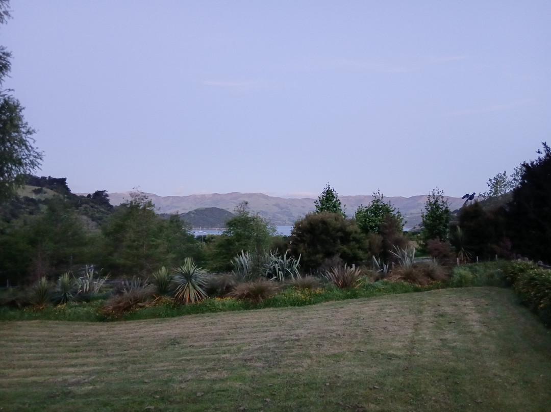 French Peak Vineyard-阿卡罗阿必去景点