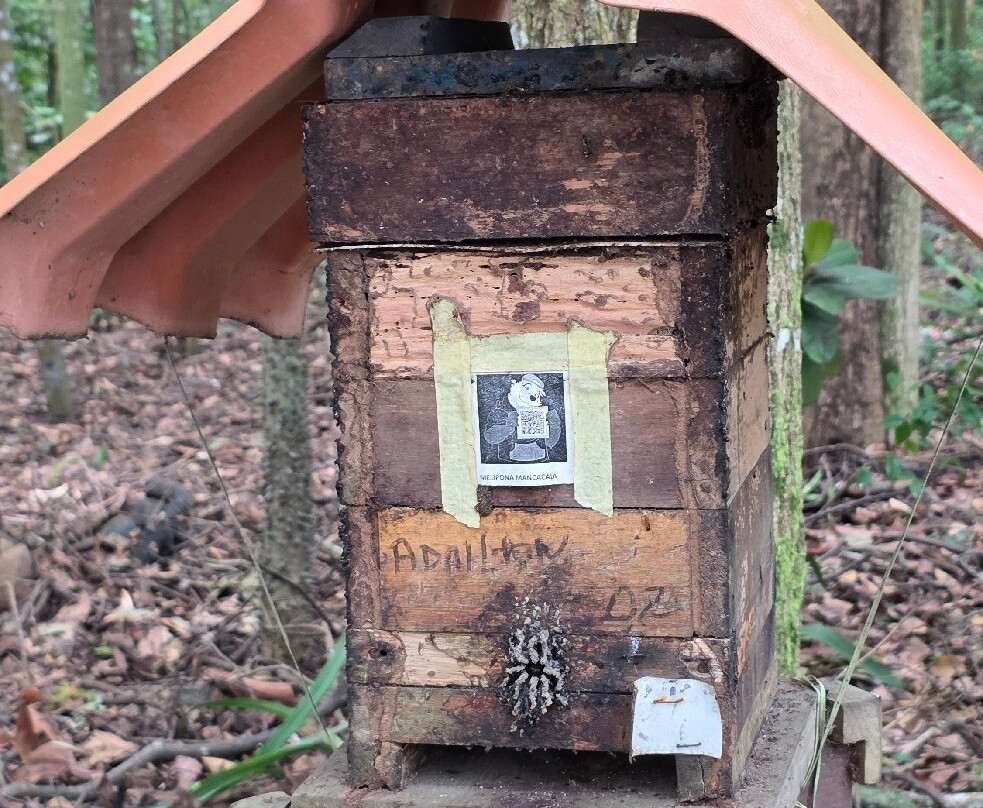 Parque Botânico Vale-维多利亚必去景点