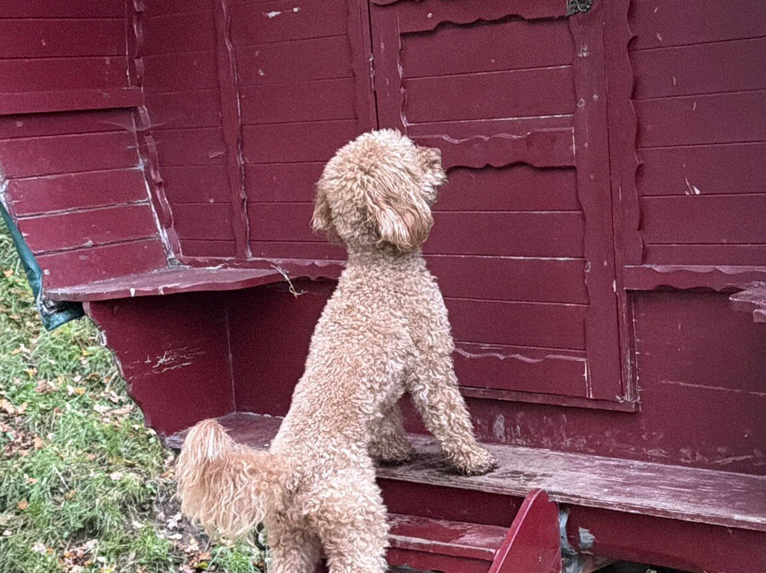 Wanderlusts Gypsy Caravans-彭里斯必去景点