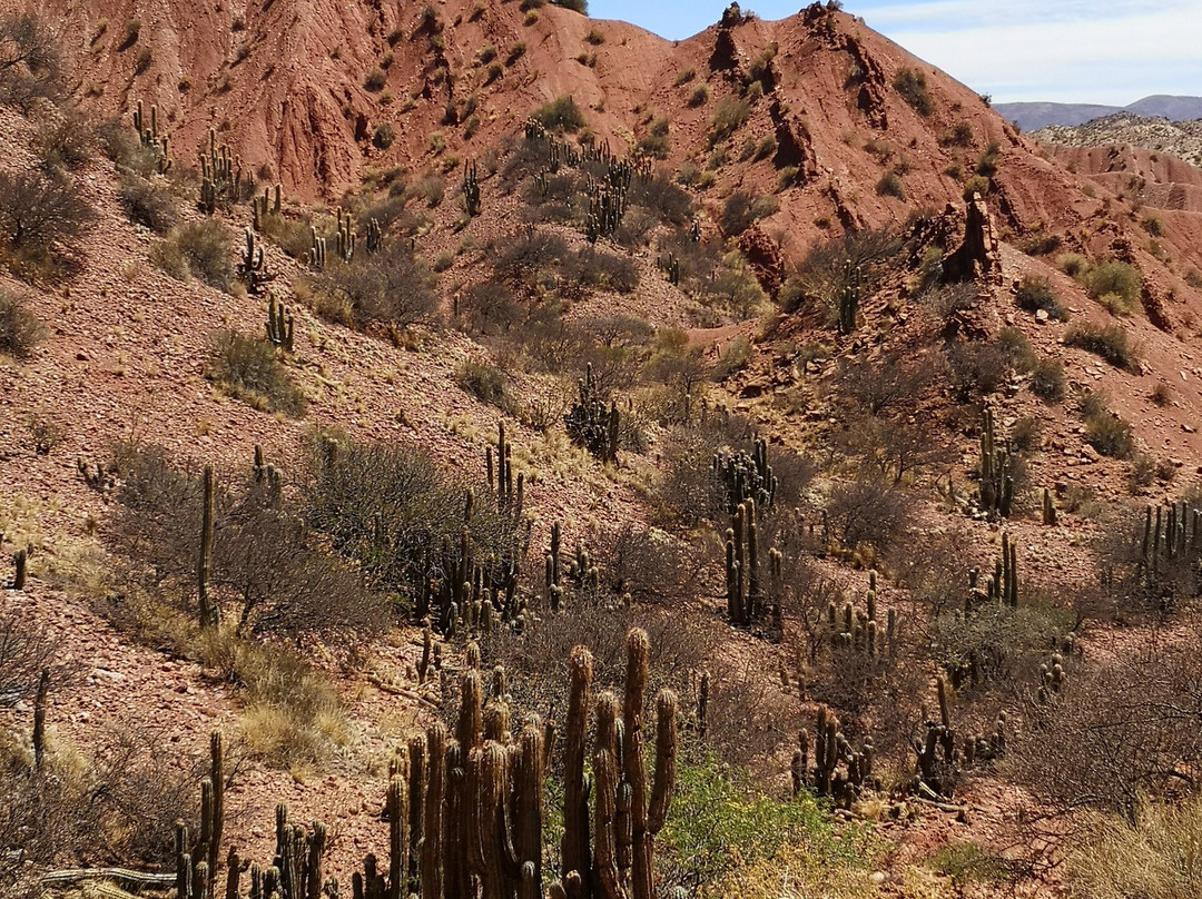 Green Planet Etno Eco Travel-Tupiza必去景点