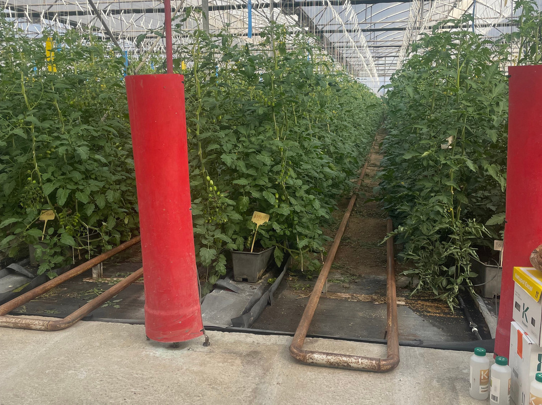 Clisol Turismo Agricola-艾尔艾吉多必去景点