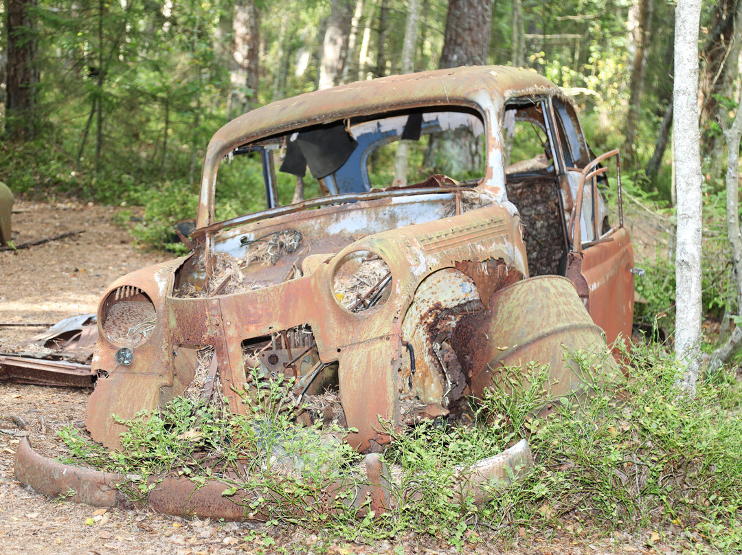 Kyrkö Mosse-Ryd必去景点