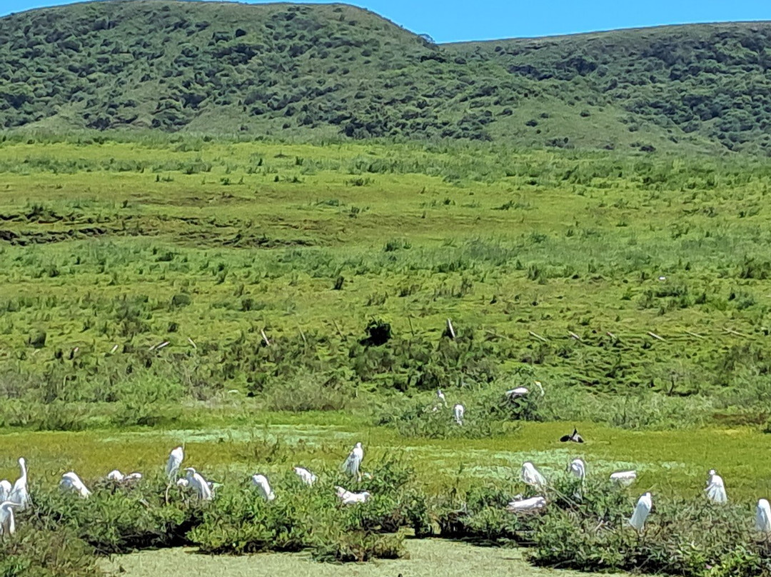 Valle del Lunarejo-Rivera必去景点