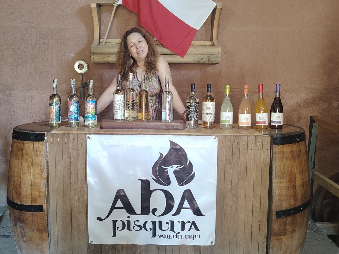 Pisquera Aba Oficial-Vicuna必去景点