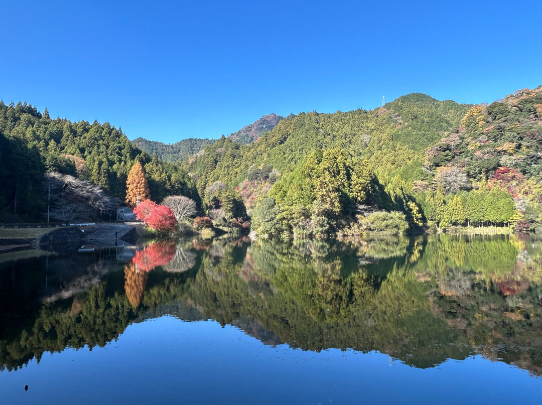 Lake Shakujoko-津市必去景点