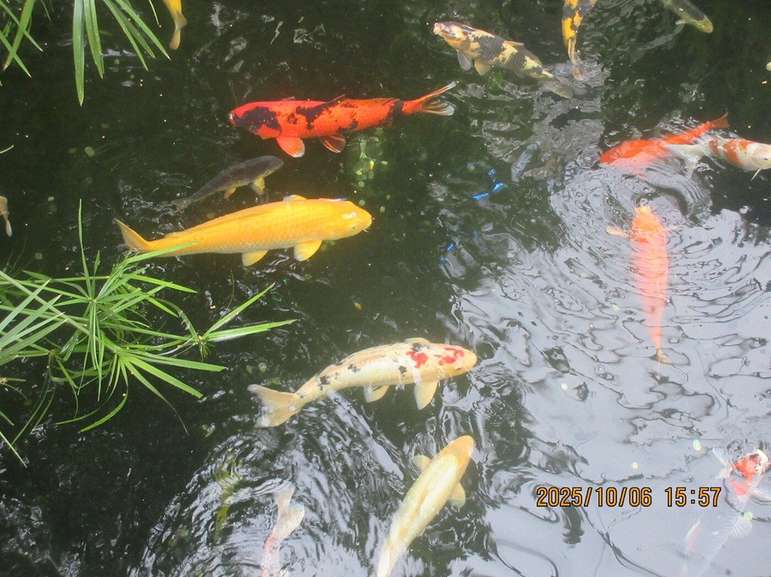 The Leaf-温尼伯必去景点