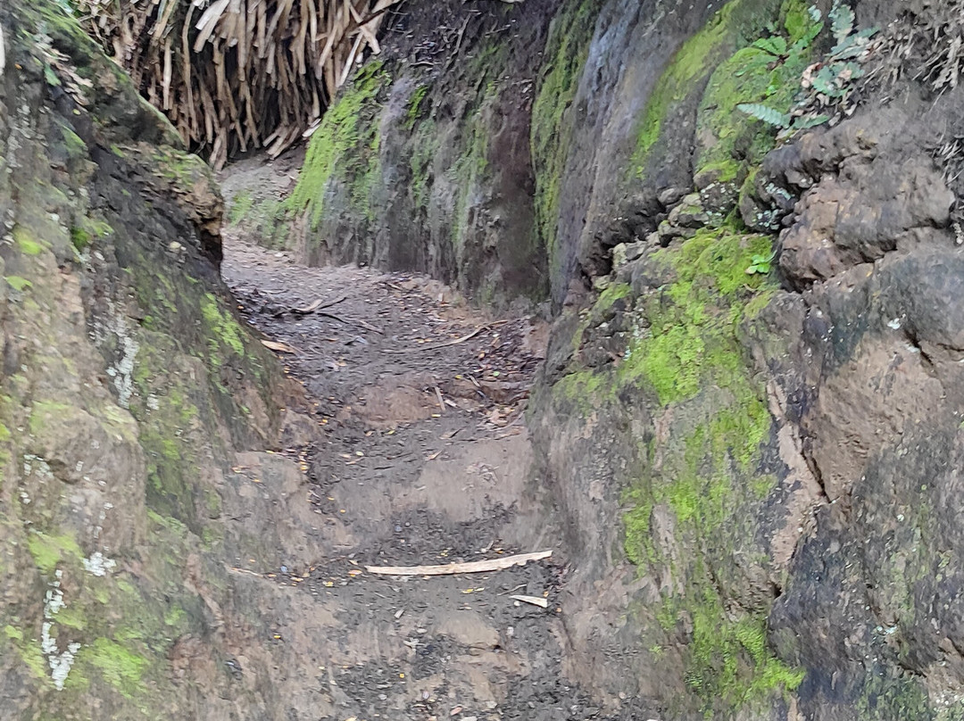 Parque Tepuhueico-Chonchi必去景点