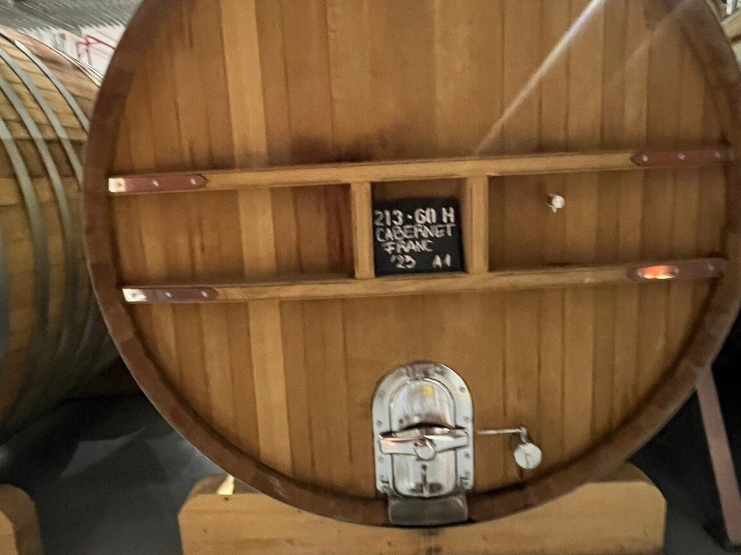 Bodega El Esteco-卡法亚特必去景点