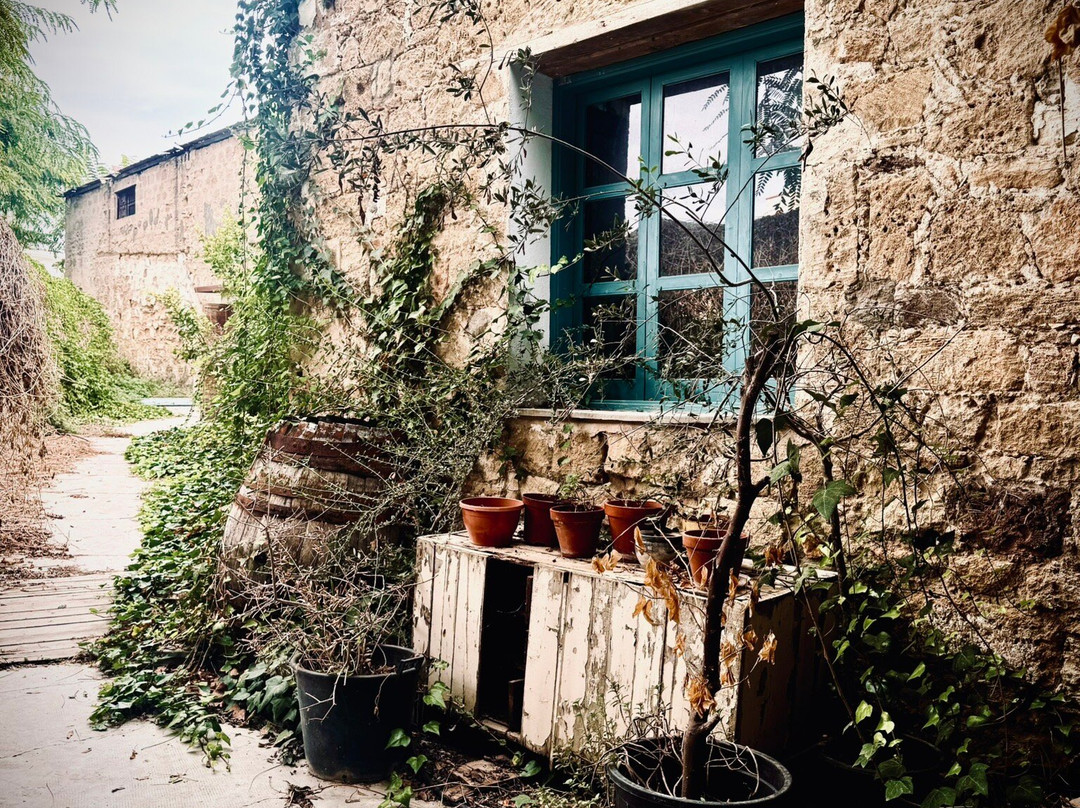 The Place-帕福斯必去景点