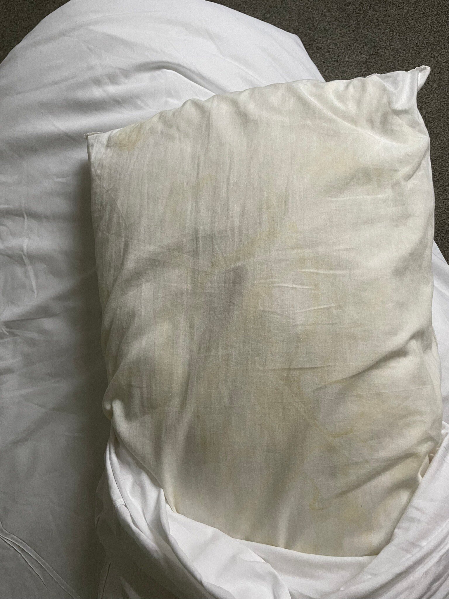 The Golden Lion Inn-官方