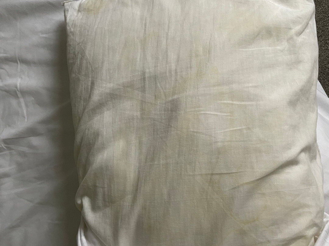 The Golden Lion Inn主图