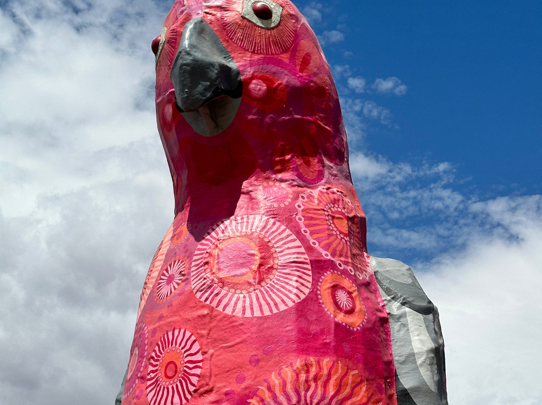 The Big Galah-Kimba必去景点