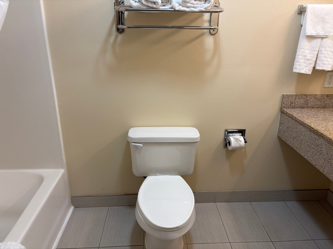 Best Western Plus Richmond Hill Inn主图