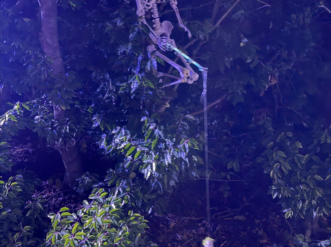 Halloweenville-Culcheth必去景点