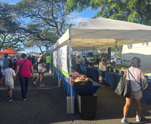 Kaka'ako Farmer's Market-火奴鲁鲁必去景点
