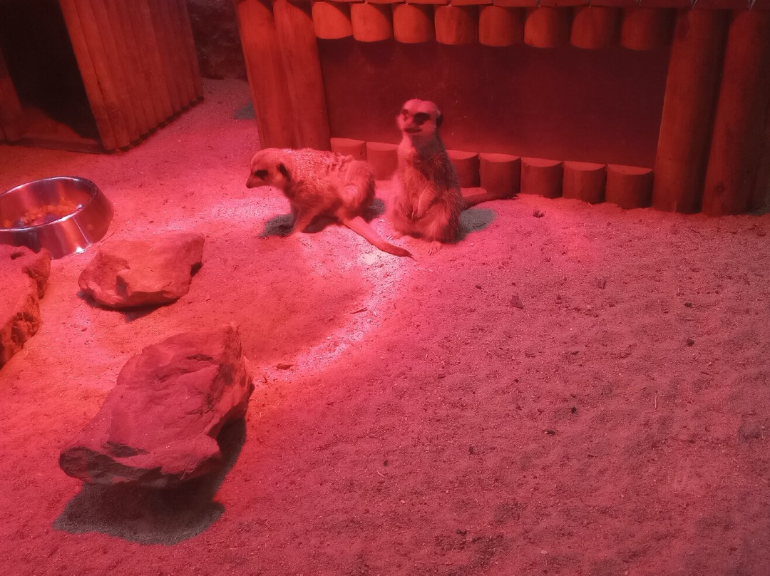 Orientarium Zoo Lodz-罗兹必去景点