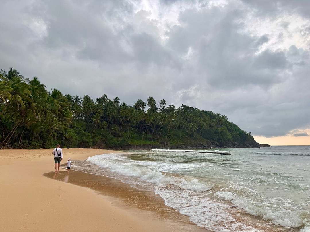 Galbokka Sea Turtle Hatchery-科斯戈德必去景点