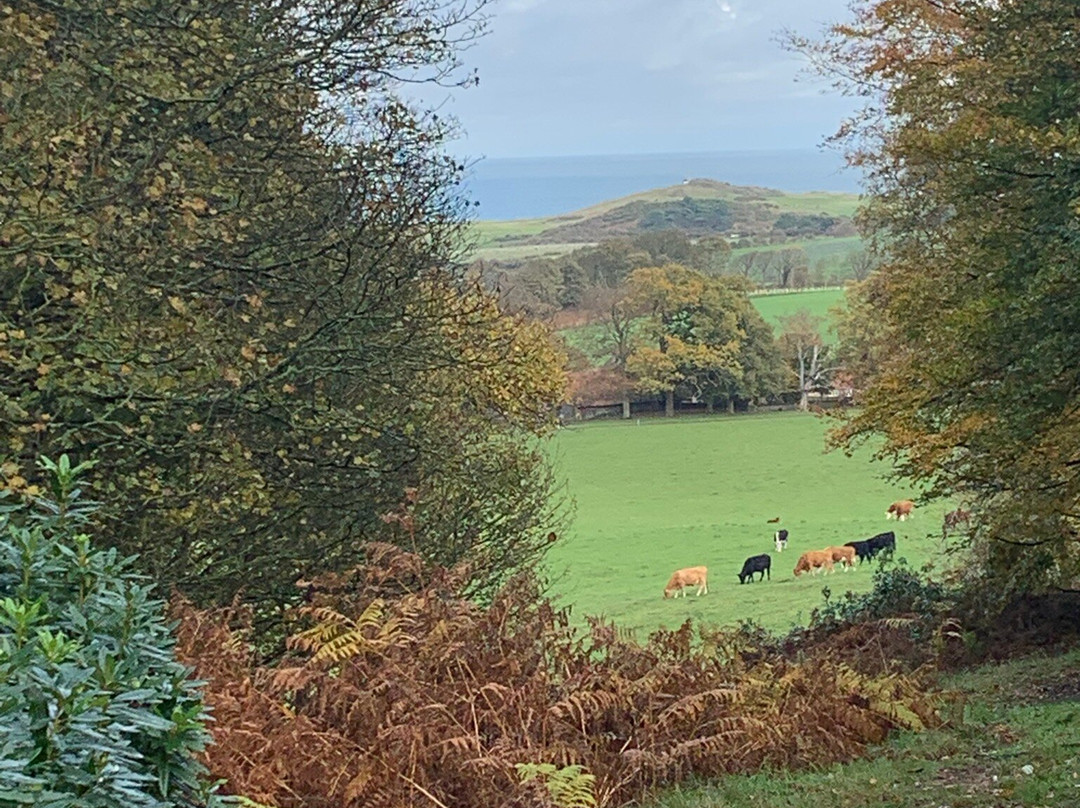 Sheringham Park-Sheringham必去景点