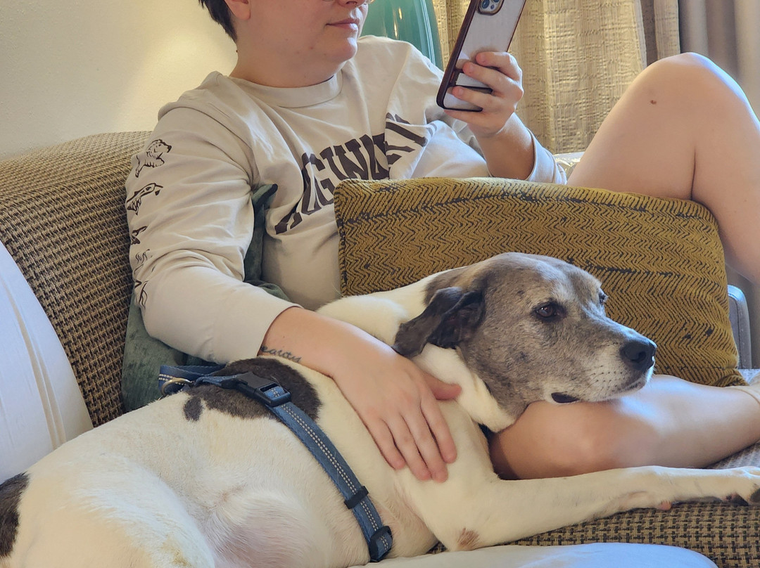 Staybridge Suites Tampa East - Brandon by IHG主图