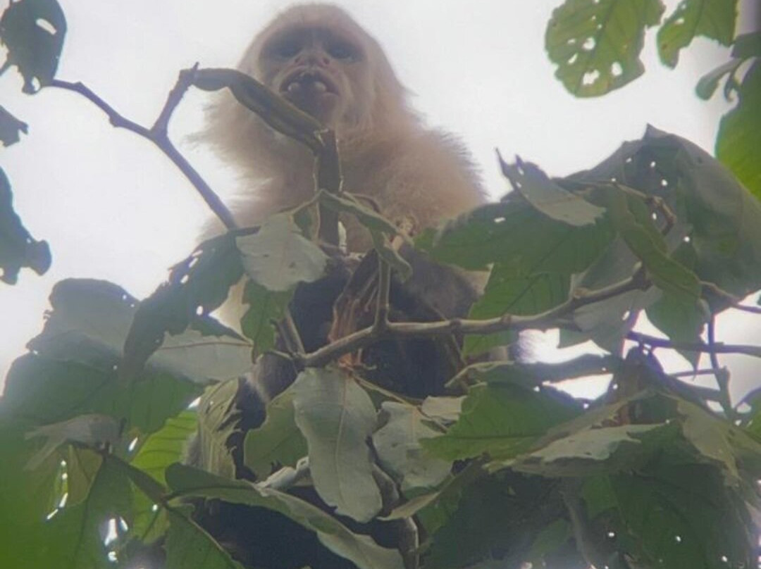Arenal Nature Tours-Muelle必去景点