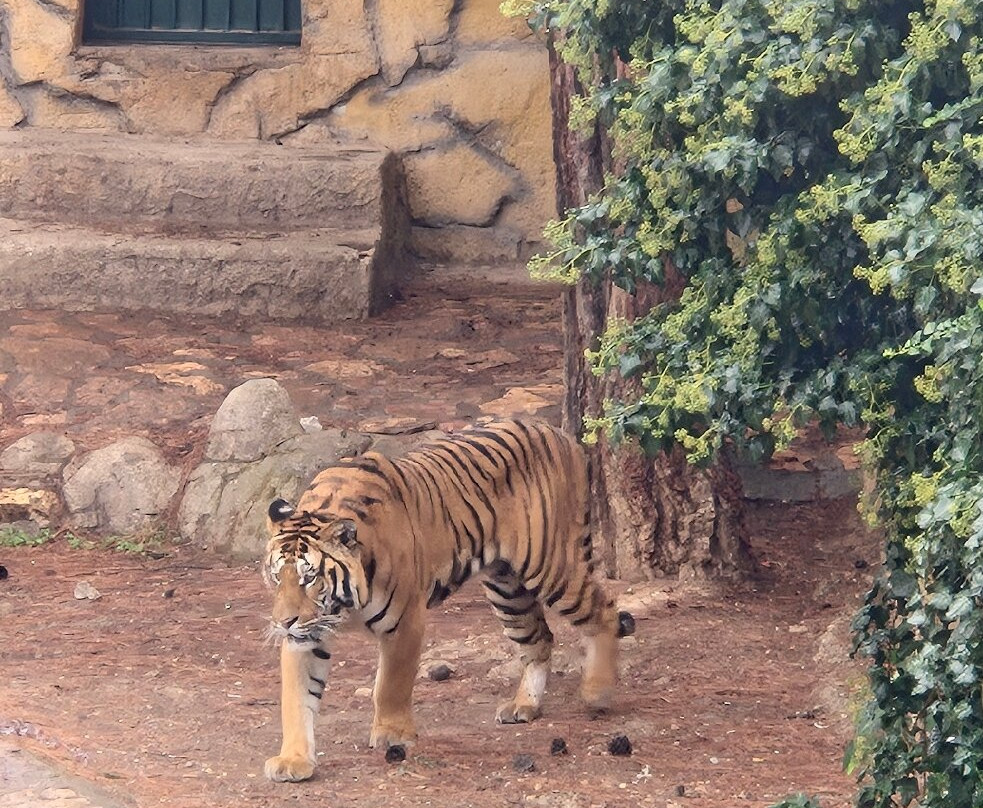 Gaziantep Zoo-加济安泰普必去景点
