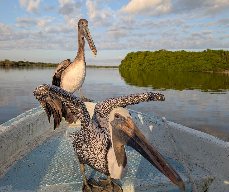 Boat Trip Rio Lagartos-里奥拉加托斯必去景点