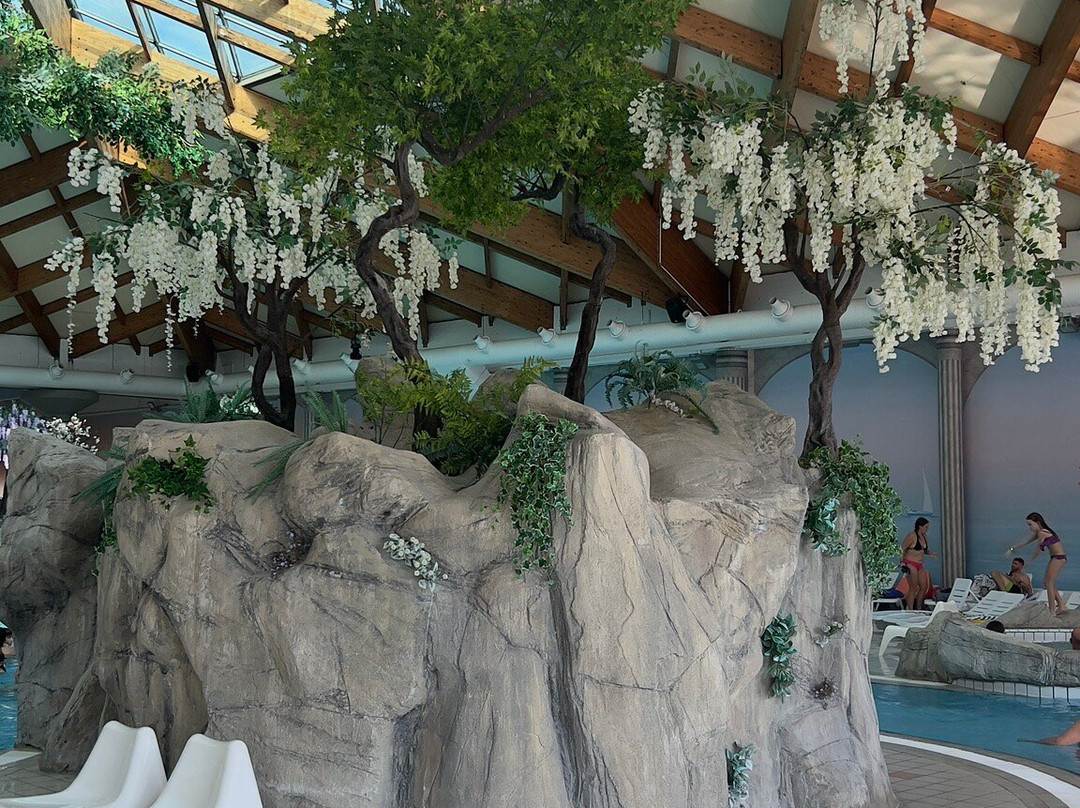 Hotel Terme - Terme Čatež主图