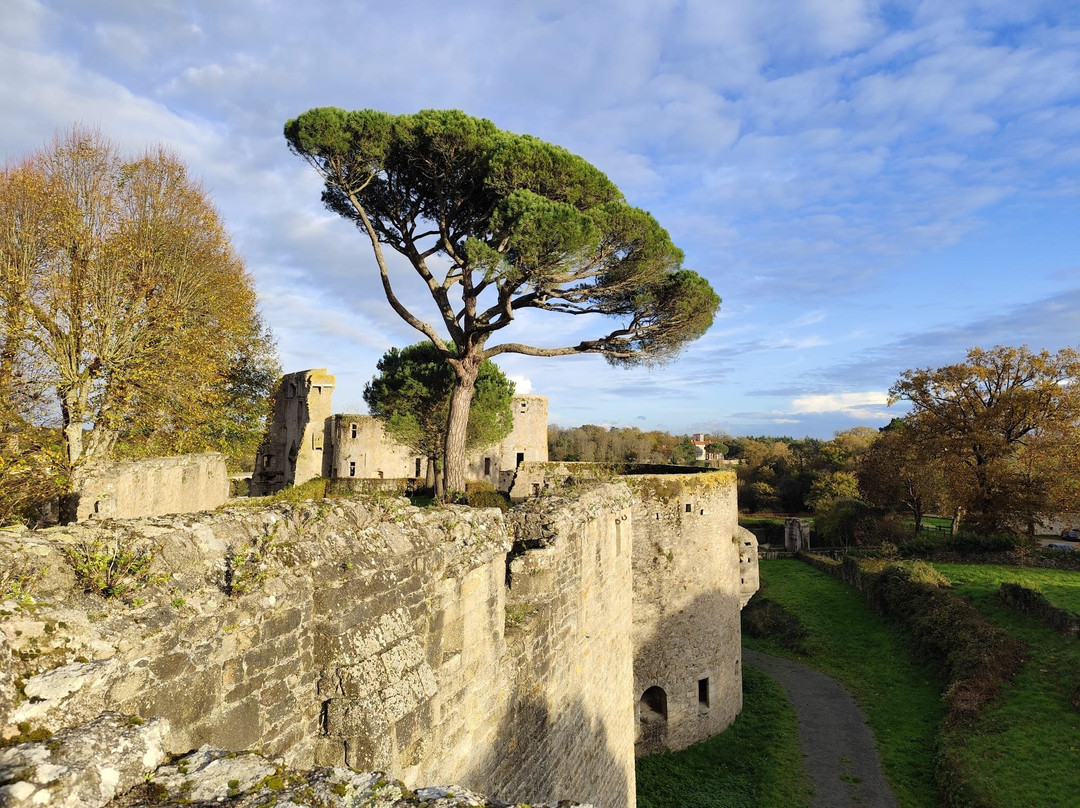 Chateau de Clisson-Clisson必去景点