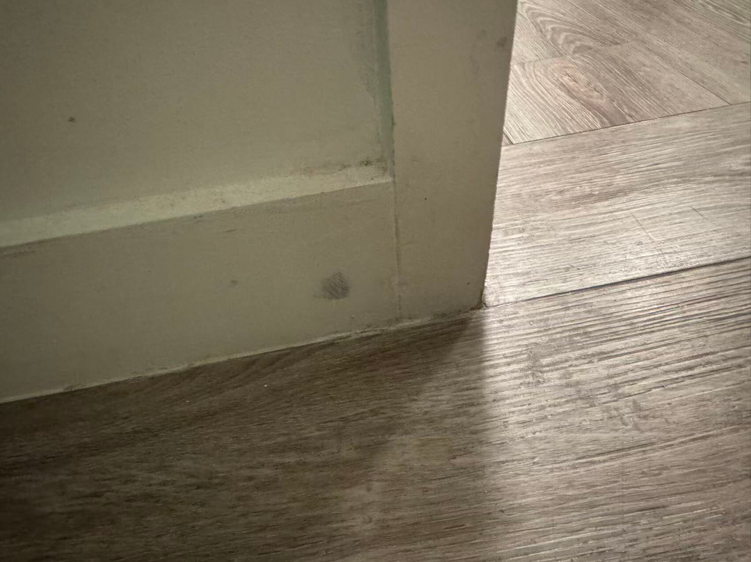 Margaritaville Resort Orlando主图