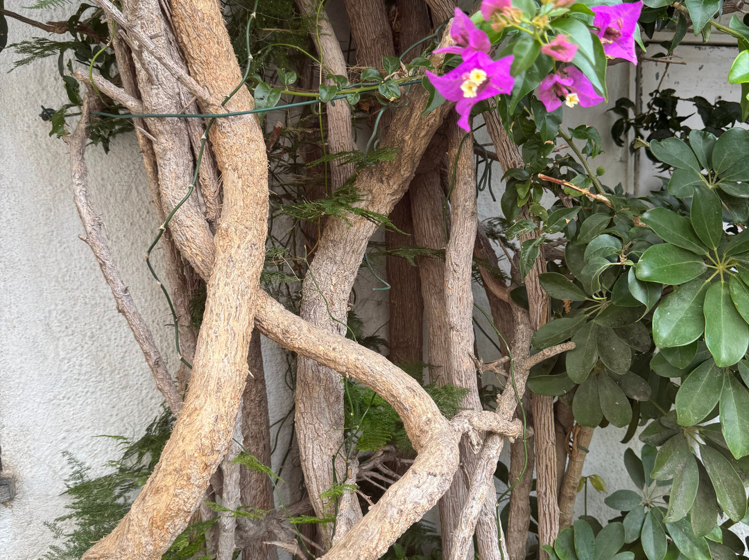 Anna Personal Guide-菲格拉斯必去景点