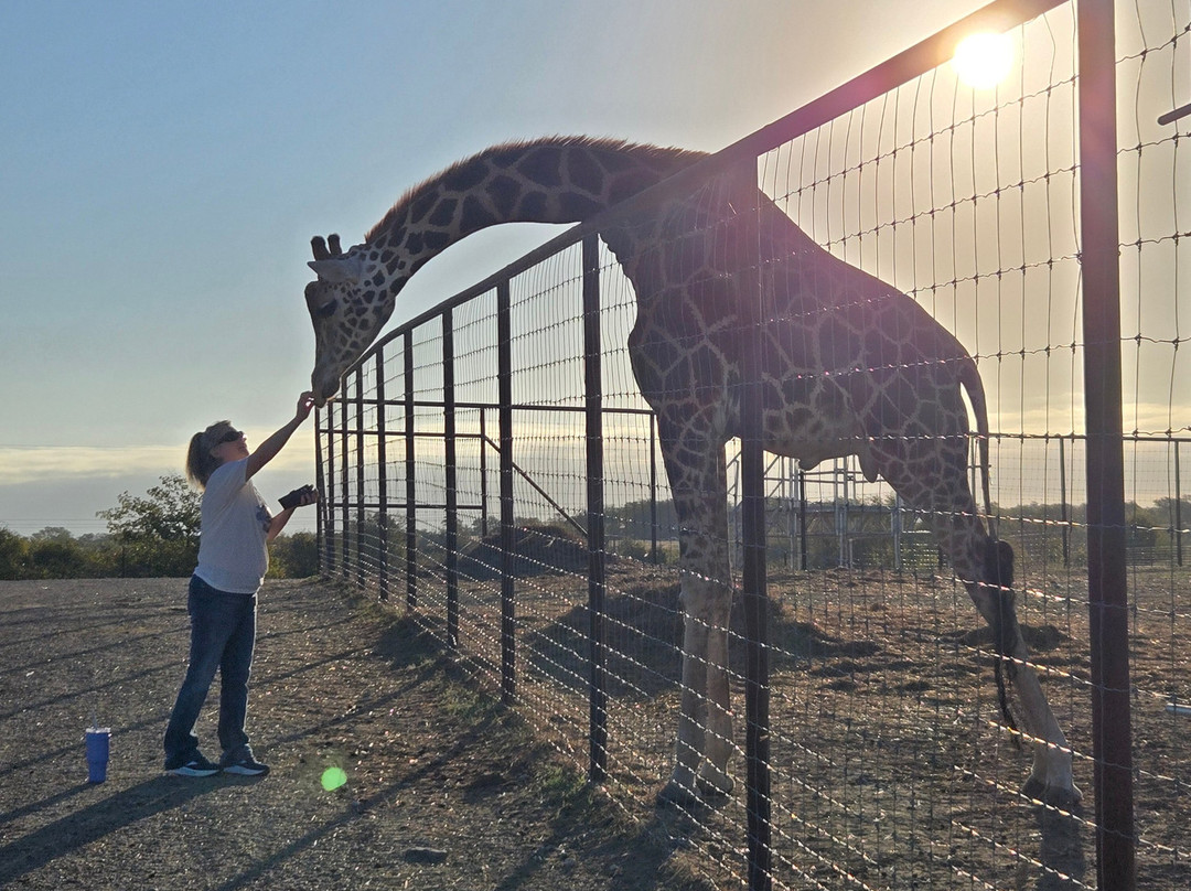 Blue Hills Ranch主图