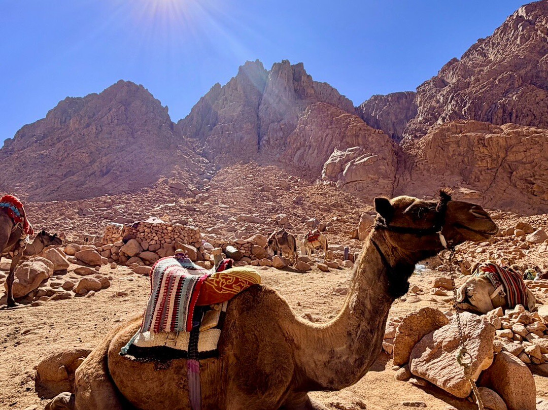Sinai Hikes-圣卡特琳娜地区必去景点