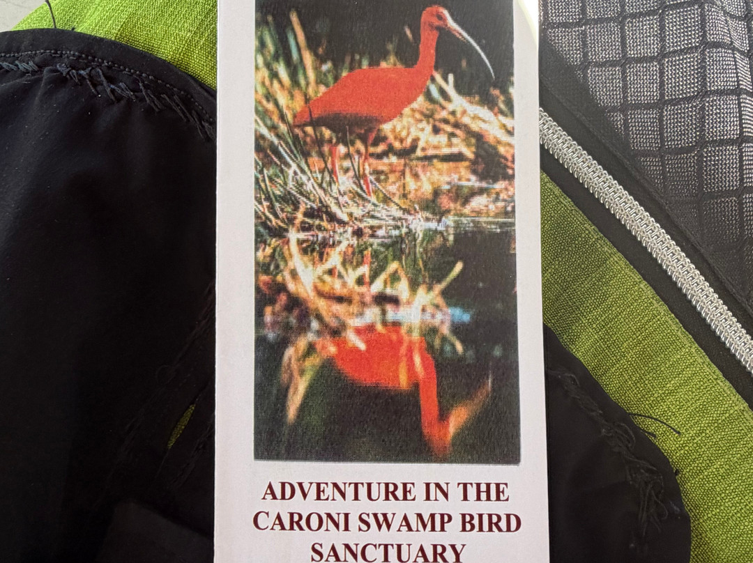 Caroni Swamp-St. Ann's必去景点