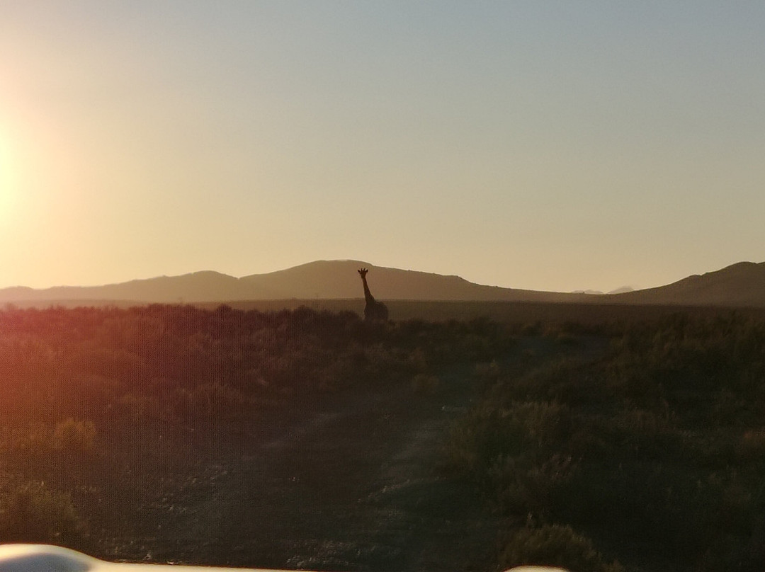 Mont Eco Game Reserve主图